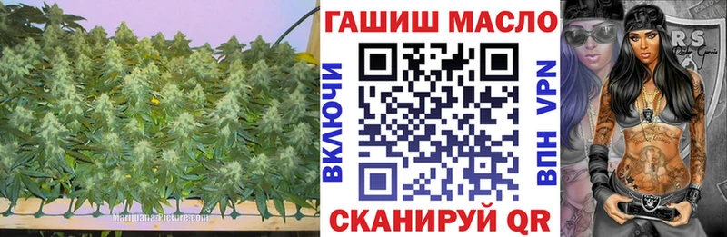 мега маркетплейс  Жирновск  Дистиллят ТГК концентрат  где купить наркоту 